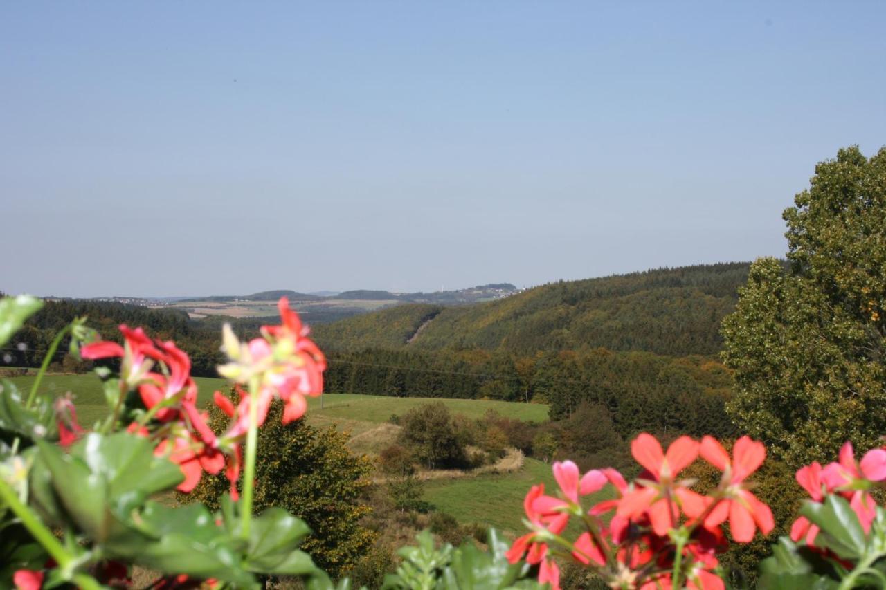 Hotel Retterath Am Nuerburgring Wiesemscheid Eksteriør billede